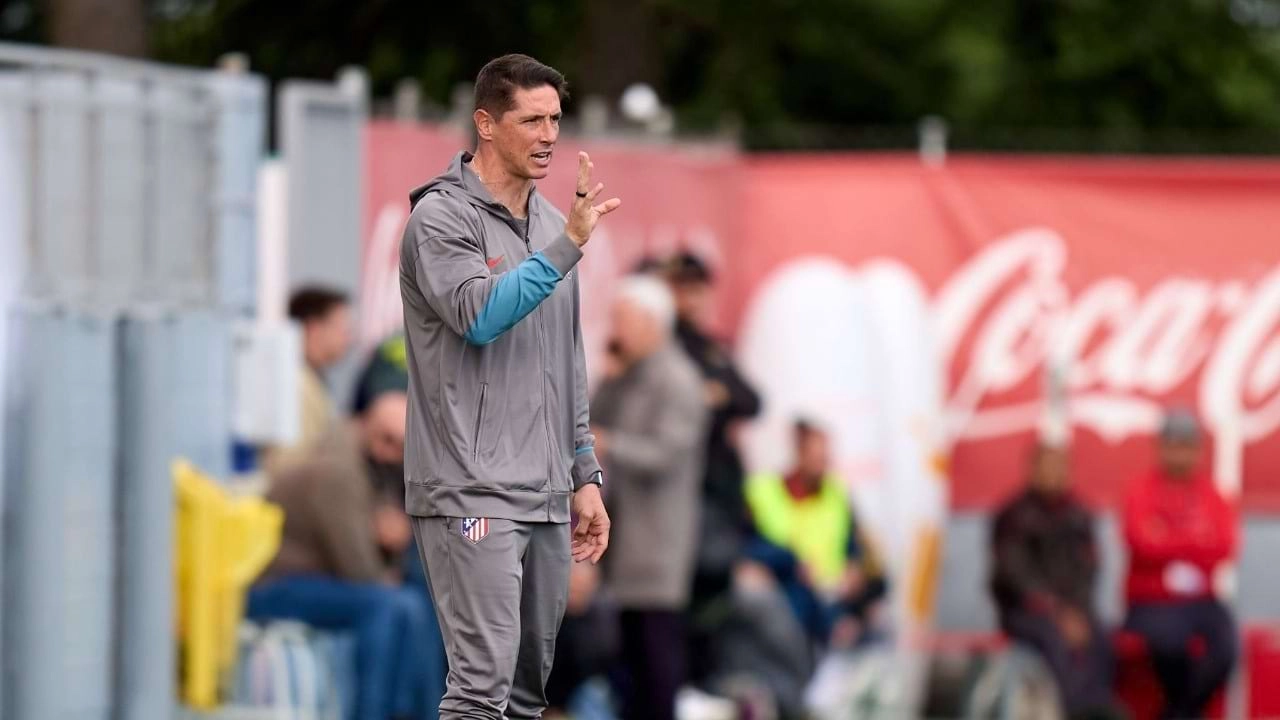 Fernando Torres