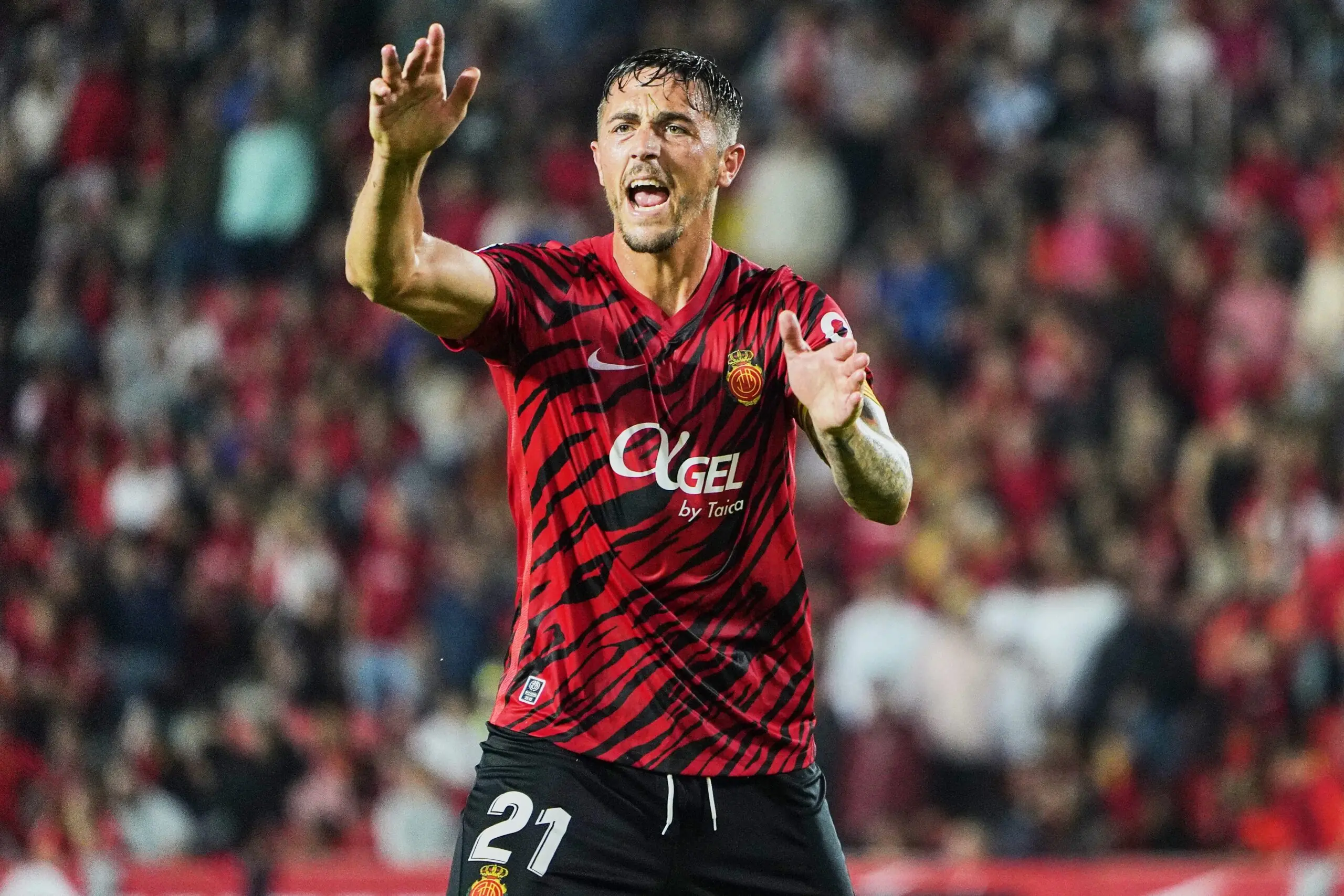 RCD Mallorca noticias