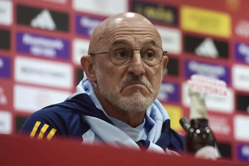 Real Valladolid Club de fútbol, Valladolid fichajes, Luis de la Fuente, fichajes Valladolid, mercado de fichajes