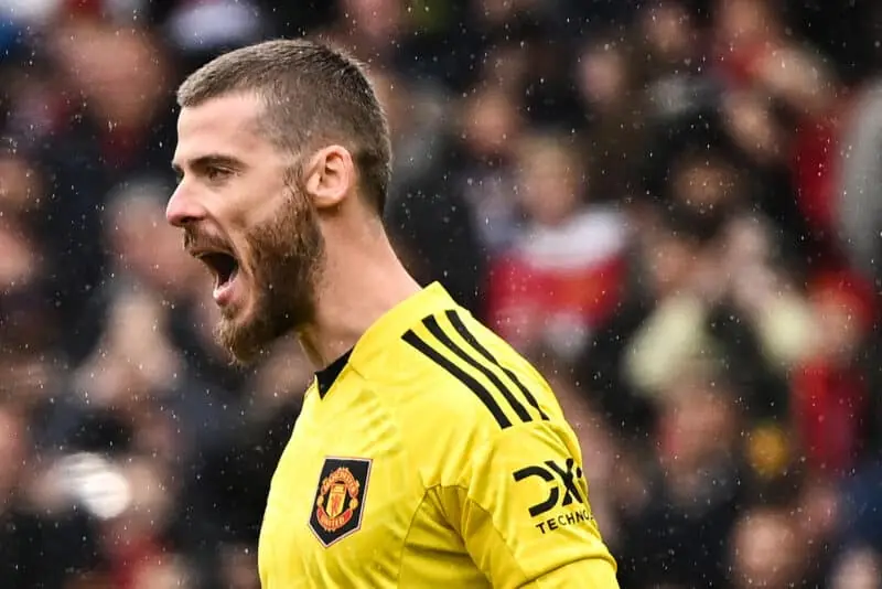 fichajes betis; David De Gea; real betis; betis fichajes; Eldense