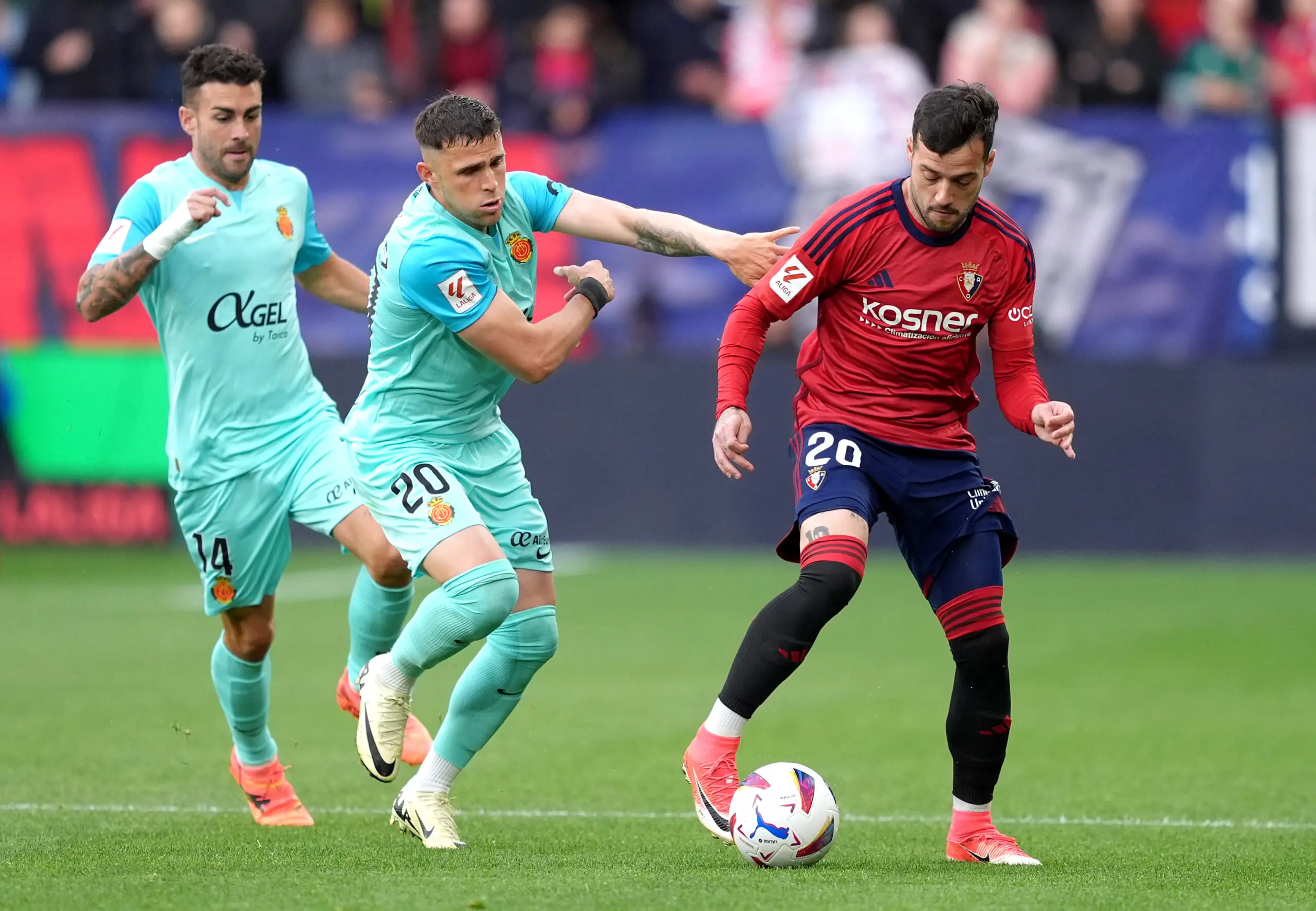 MERCADO DE FICHAJES REAL VALLADOLID | JOSÉ ARNAIZ