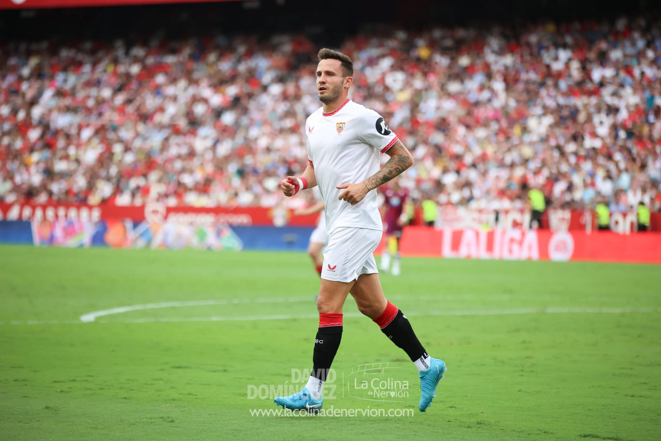 Sevilla fc noticias; Real valladolid; Saúl Ñíguez; Sevilla fc fichajes