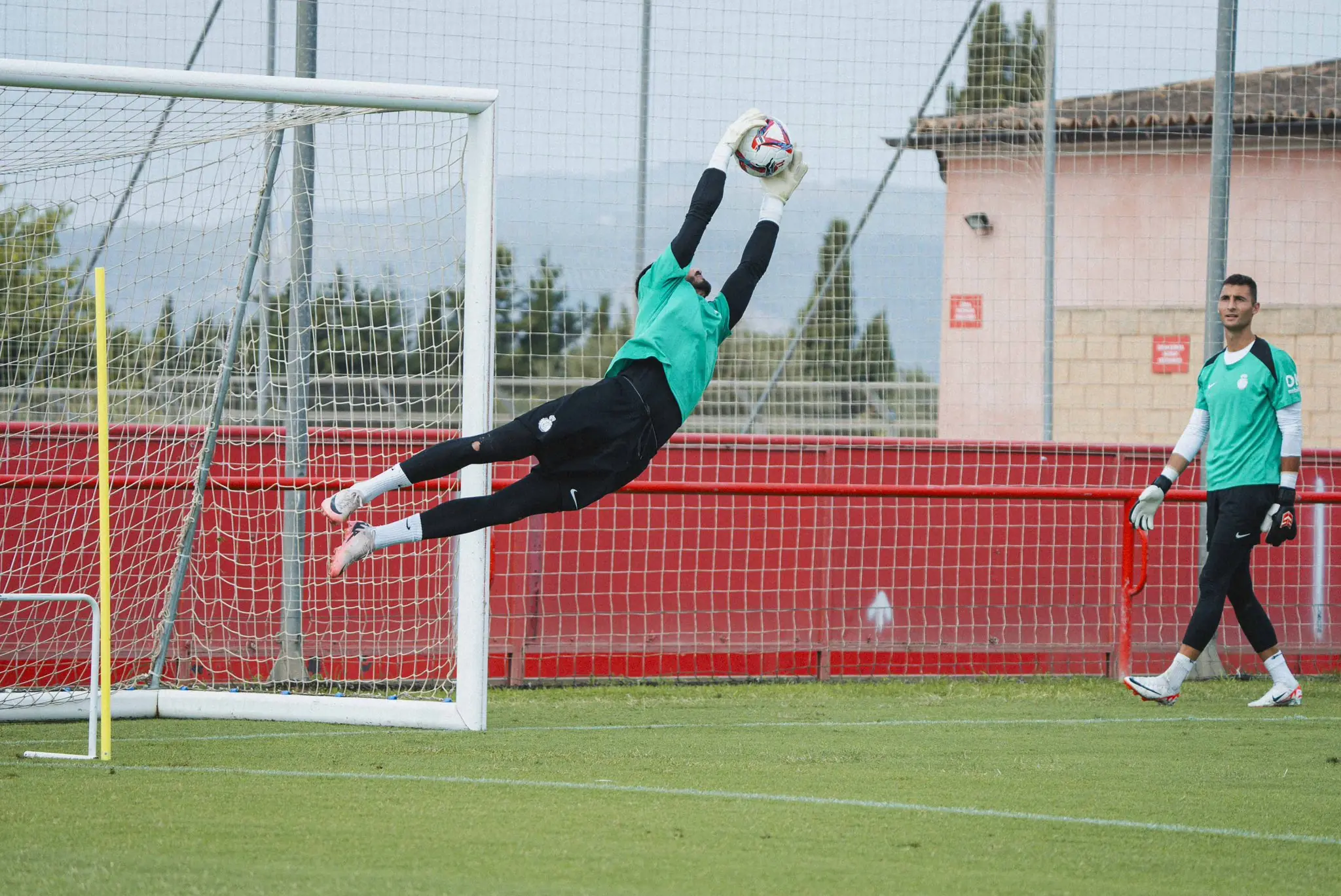 Leo Román Dominik Greif RCD Mallorca