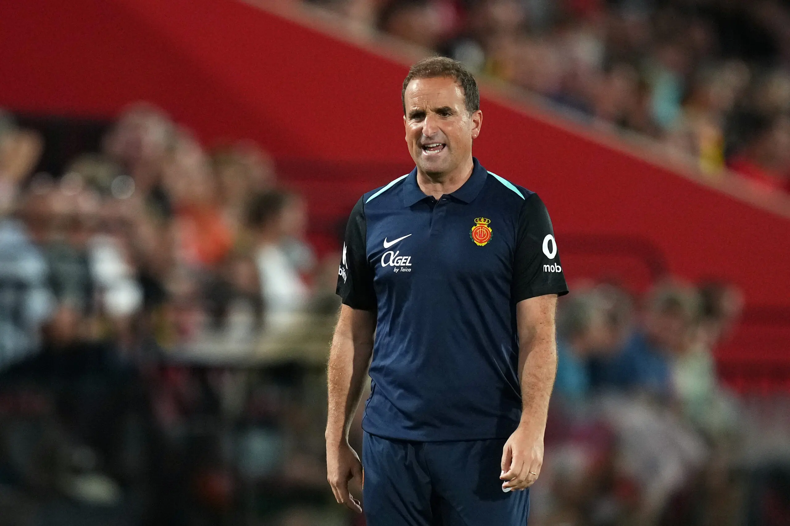 RCD Mallorca fichajes, Arrasate, RCD Mallorca, fichajes RCD Mallorca, mercado de fichajes