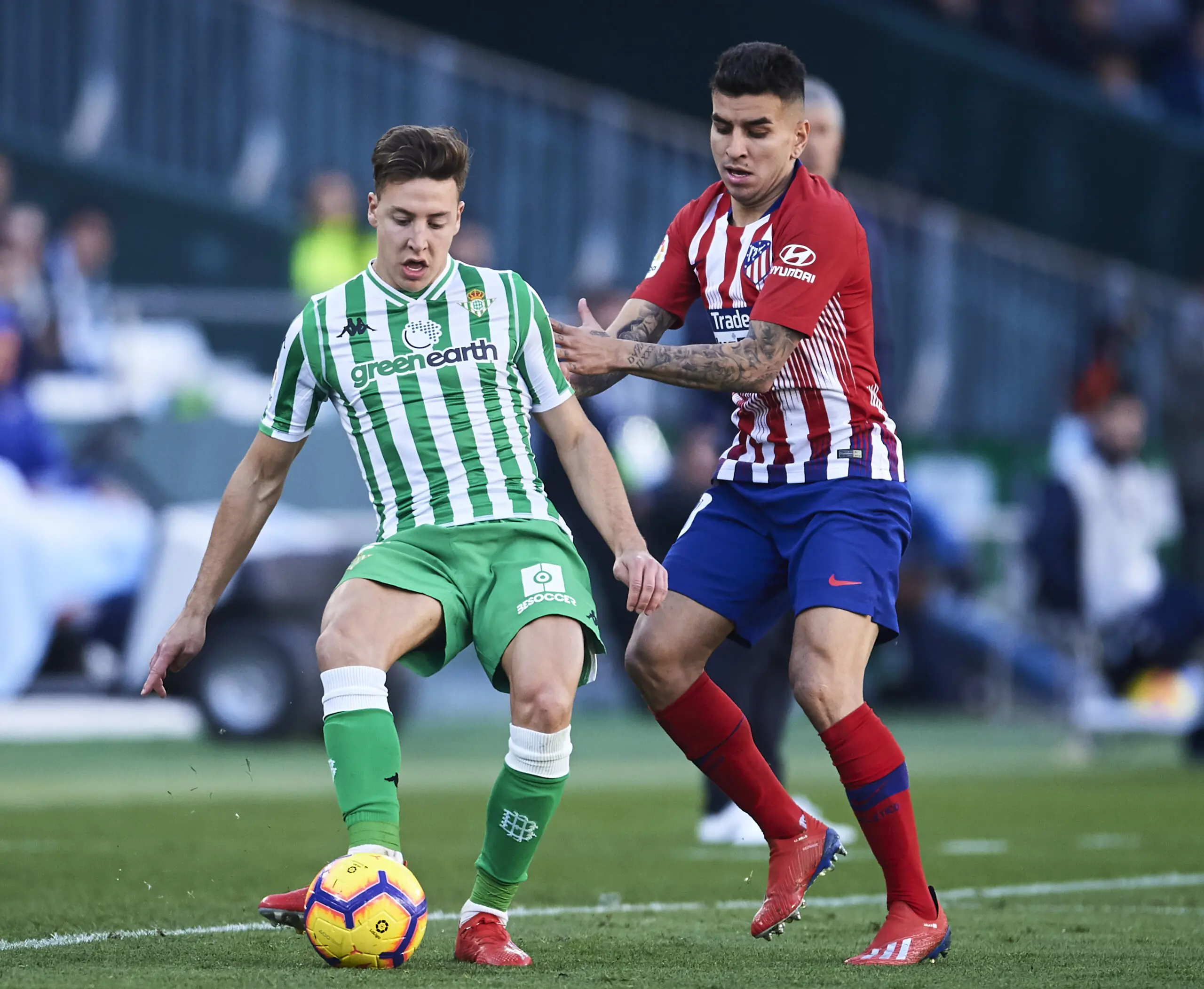 noticias Real Betis Francis