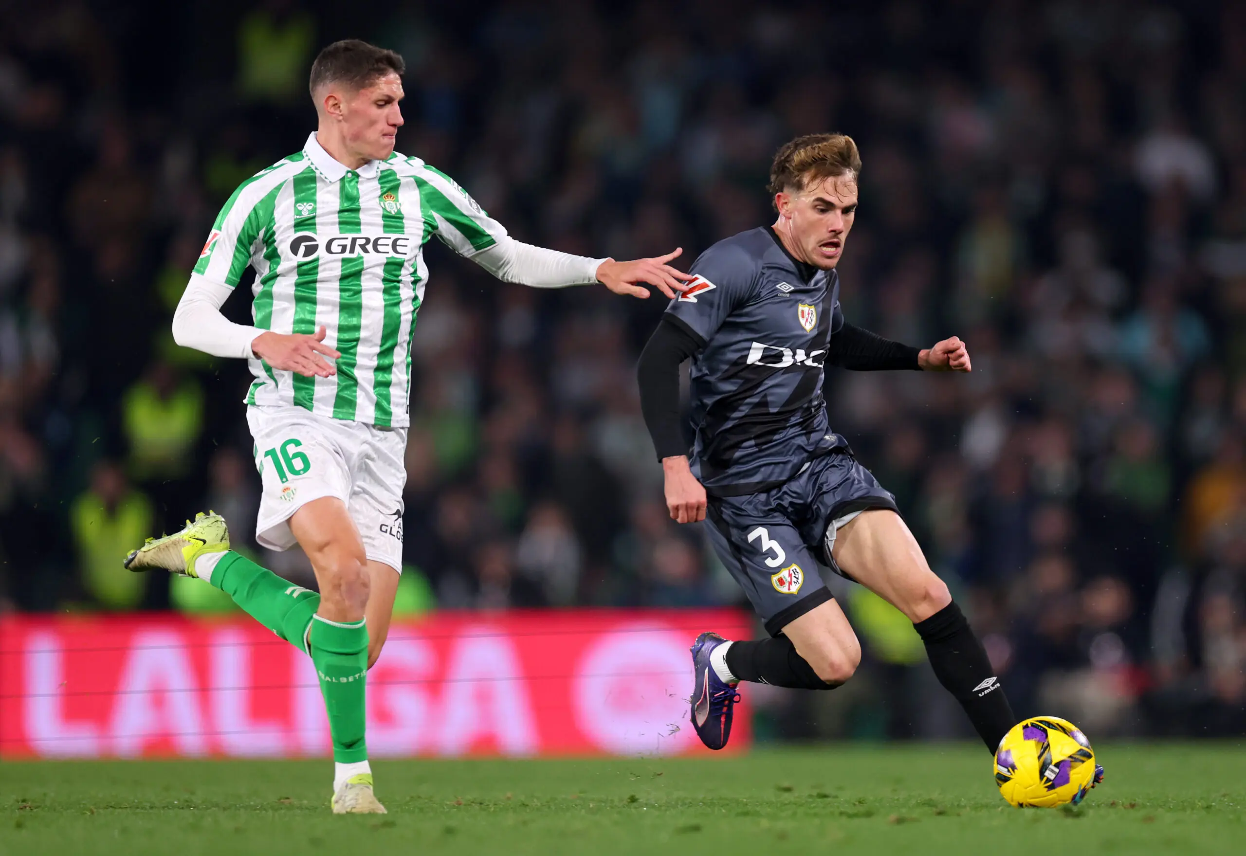 Fichajes betis, real betis balompié, betis fichajes, sergi altimira, mercado de fichajes