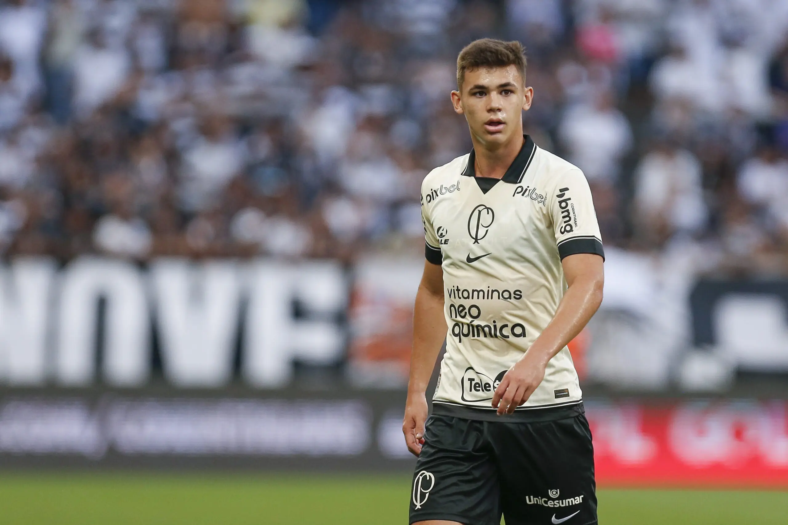 fichajes betis, Real Betis Balompié, betis fichajes, Johnny Cardoso, mercado de fichajes