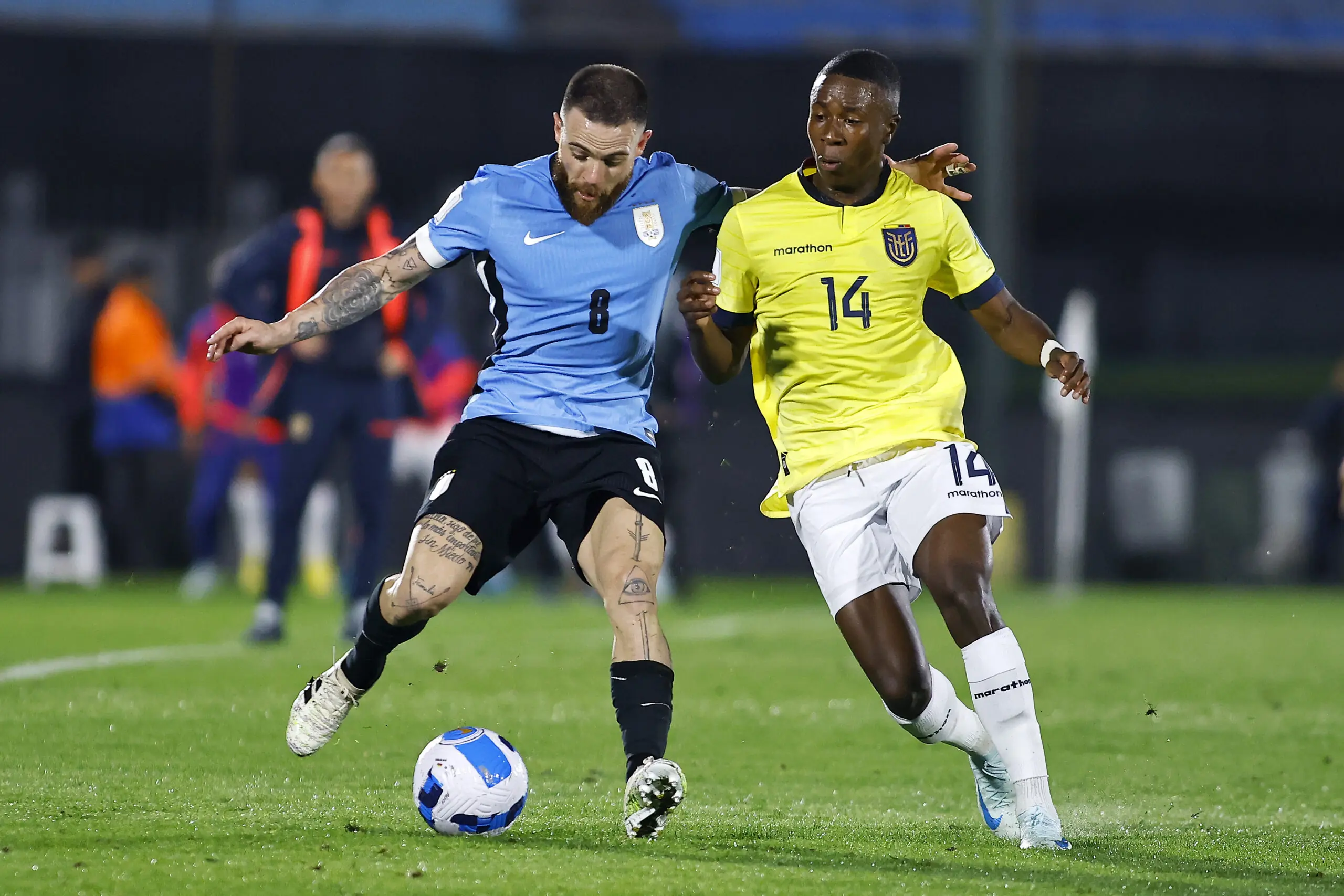 fichajes betis, Real Betis Balompié, betis fichajes, Alan Minda, mercado de fichajes